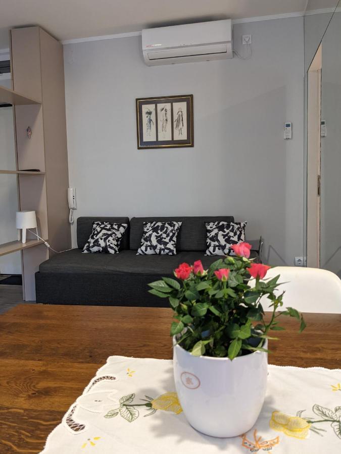 Danka Apartment Belgrade Exterior photo